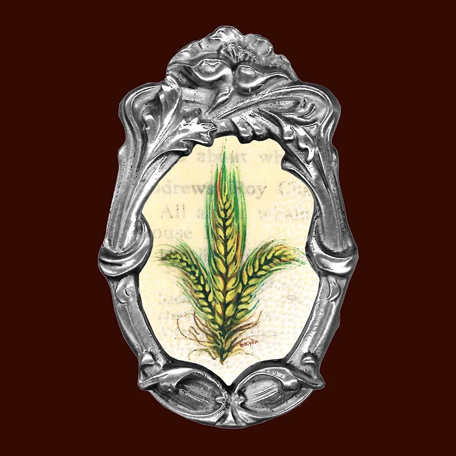 Hordeum spontaneum (wild barley)