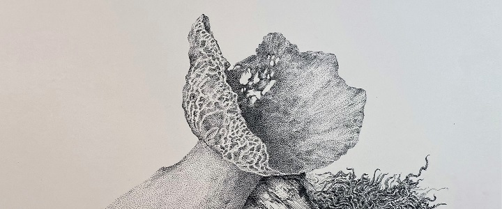 Mushroom in ink