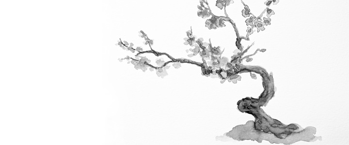 Sumi-e watercolor drawing of plum tree