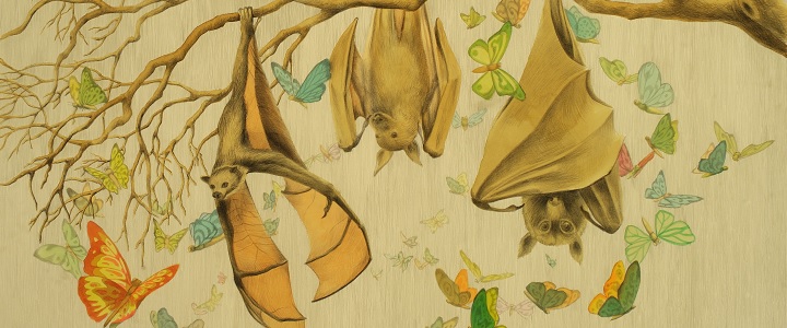 Sketch of bats