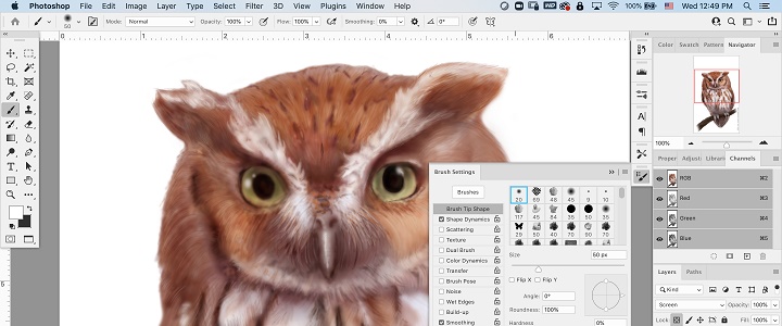 Composite image of an owl in Adobe Photoshop
