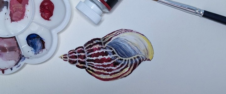Painted shell