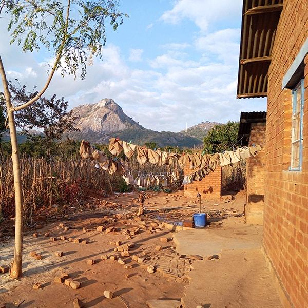 Field lab in Malawi