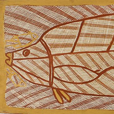 YPM ANT 261372: 'Kirrma: Barramundi (Fish).' Painting on eucalyptus bark, 1983, with earth pigments.  Northern Territory, Australia