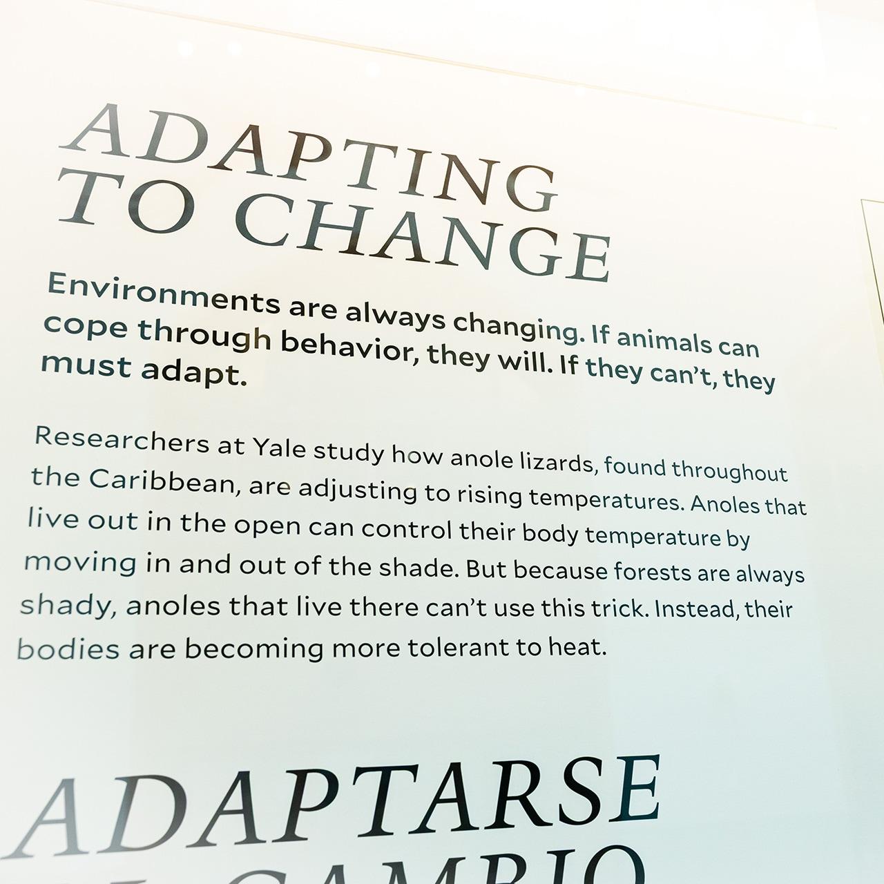 Adapting to change