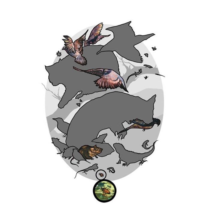 German cockroach (Blatella germanica), Rock dove (Columba livia), and Norway rat (Rattus norvegicus)