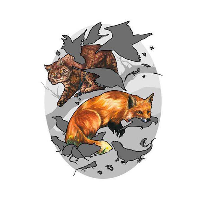 bobcats (Lynx rufus), Red foxes (Vulpes vulpes)