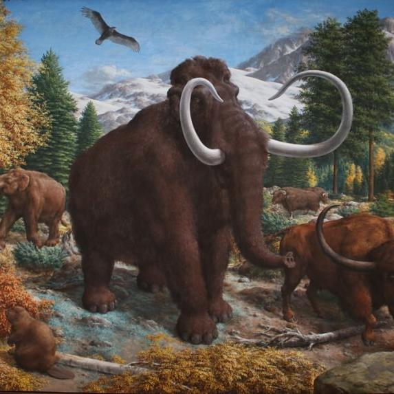 Age of Mammals Mural