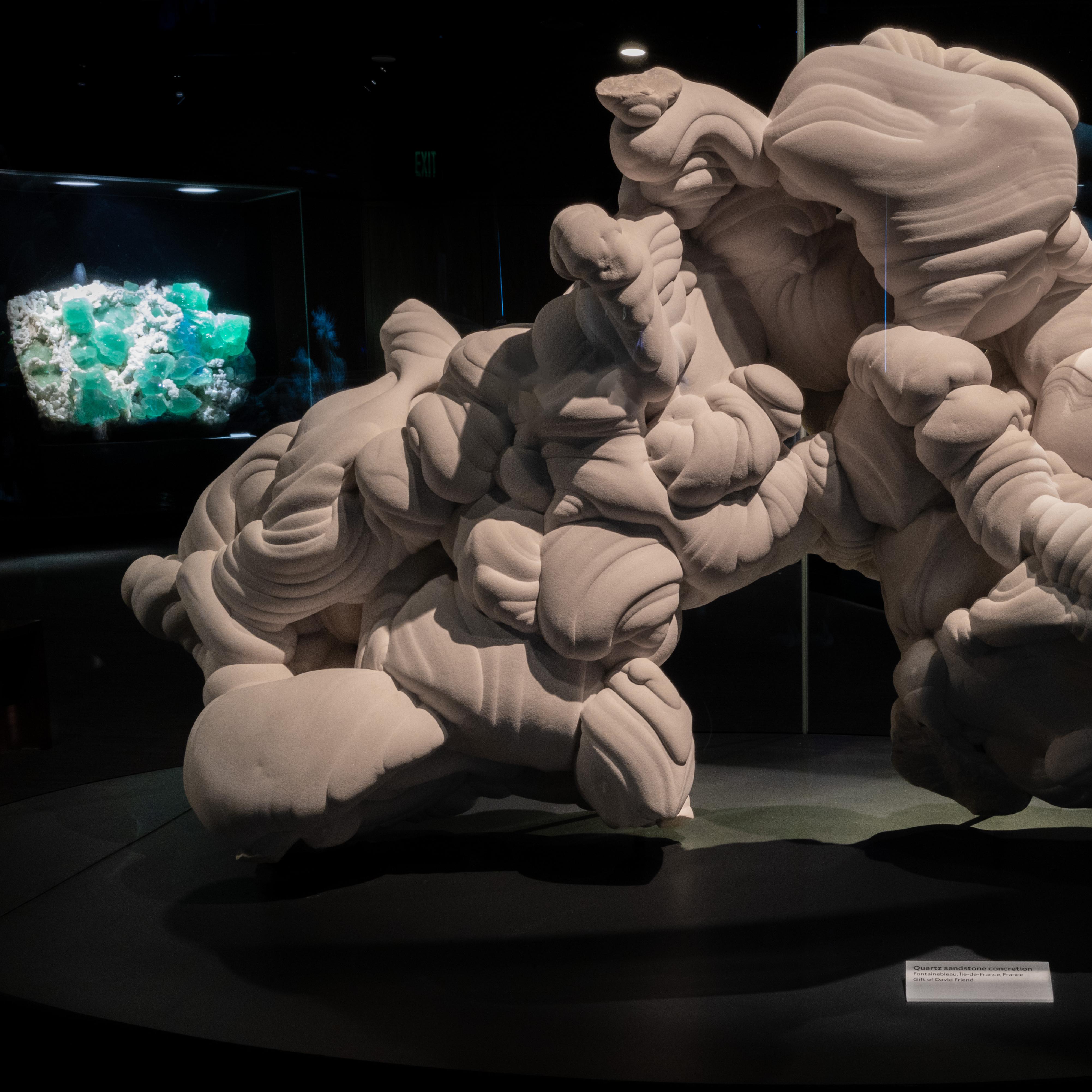 Quartz sandstone concretion, Fontainebleau, Ile-de-France, France