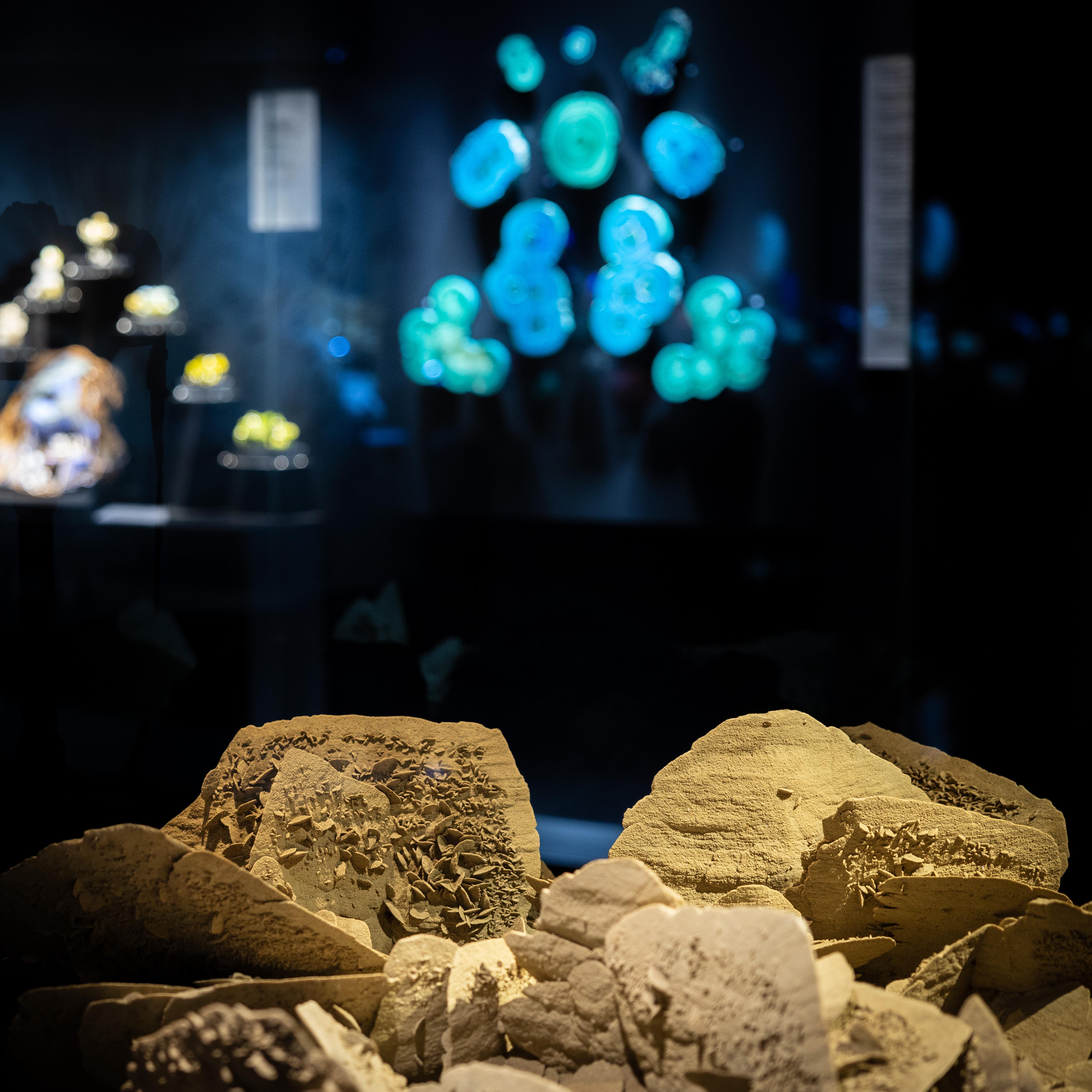 “I envisioned a mineral gallery for Yale designed to inspire rather than lecture,” philanthropist David Friend said.