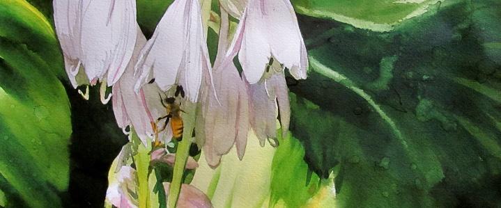 flowers and insects