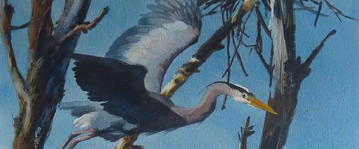 1-SESSION ADULT : WATERCOLOR PAINTING WORKSHOP : HOW TO PAINT A BIRD- Pay  What You Wish - The Art Studio NY
