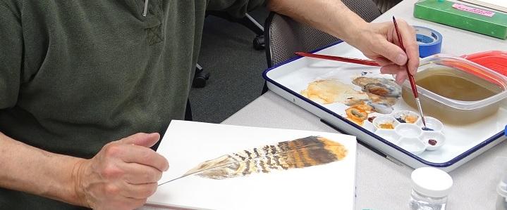 Painting a brown and yellow feather in watercolor