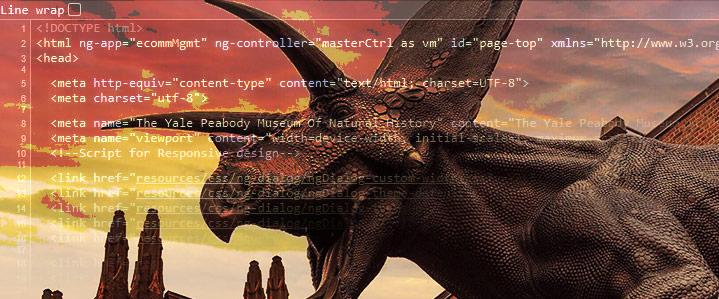 Composition of website code and torosaurus photo