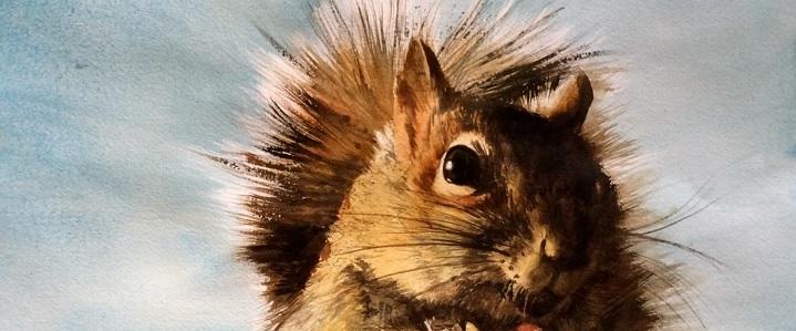 Squirrel painting by Bivenne Staiger