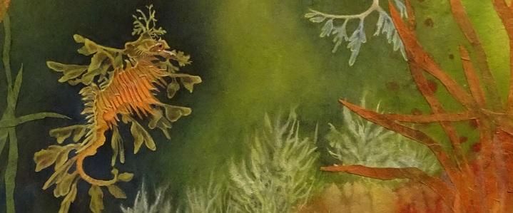 Artwork of a leafy sea dragon in aquatic scene