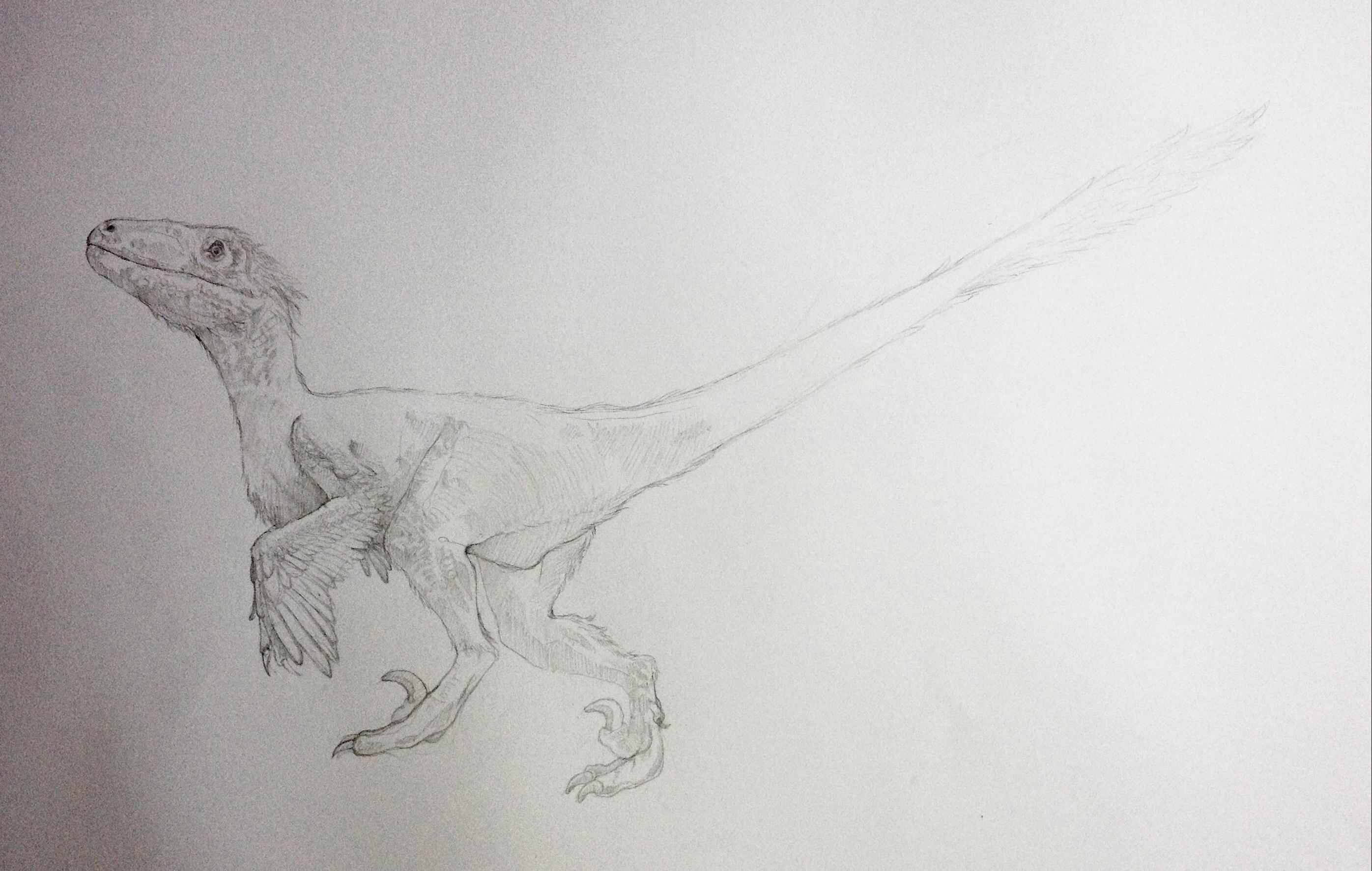 Deinonychus semi final drawing