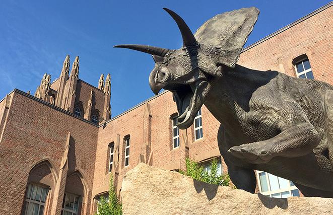 Torosaurus statue in front of Peabody Museum