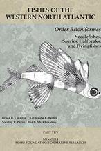 Fishes of the Western North Atlantic: Order Beloniformes