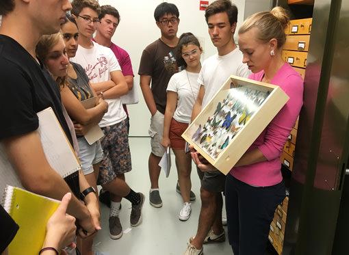 Peabody staff giving a tour in Entomology collections