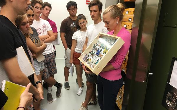 Peabody staff member Nicole giving a tour in Entomology collections