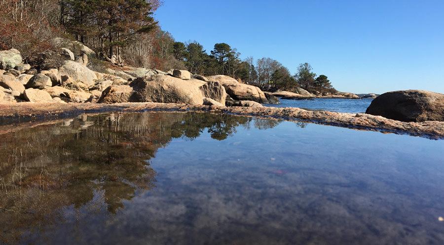 Natural reflection in a tidal pool; Horse Island