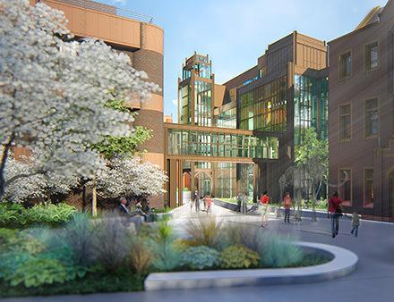 Planned greenscape approach to the new north entrance of the renovated Peabody Museum. Credit: Centerbrook Architects and Planners.
