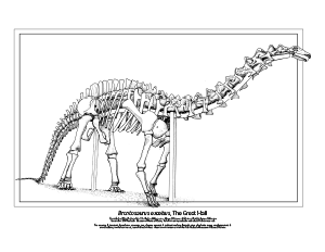Brontosaurus excelsus, The Great Hall