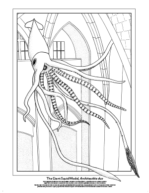 The Giant Squid Model, Architeuthis dux