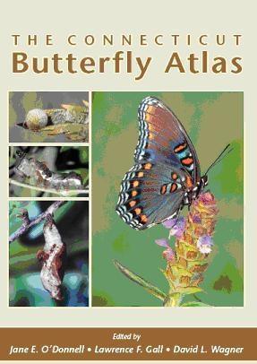 The Connecticut Butterfly Atlas - Cover Image