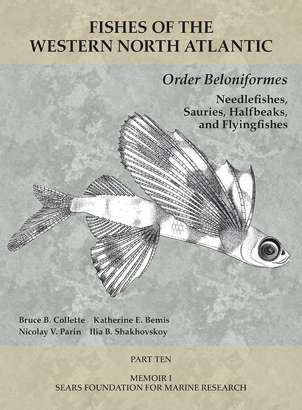 Cover of FWNA 10 - Order Beloniformes