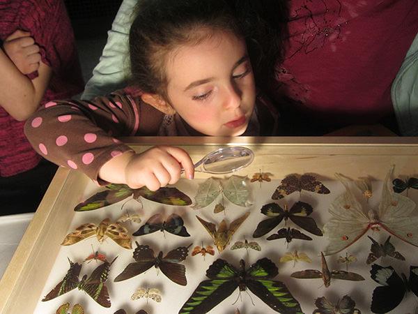 Girl with magnifying glass looking at butterflies