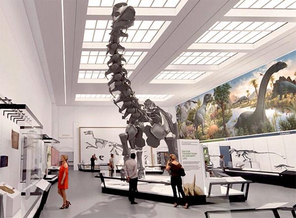 The renovated dinosaur hall will feature the Peabody’s famous fossil skeletons in dynamic and scientifically accurate poses. (Image courtesy of Centerbrook Architects and Planners)