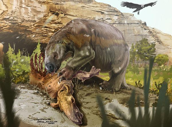 Reconstruction of Mylodon with carcass