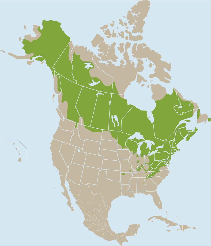 Range map of the Wood Frog in North America