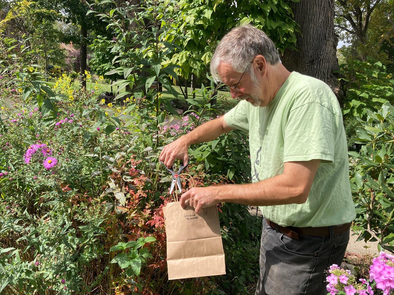Jim Sirch collecting wildflower seeds