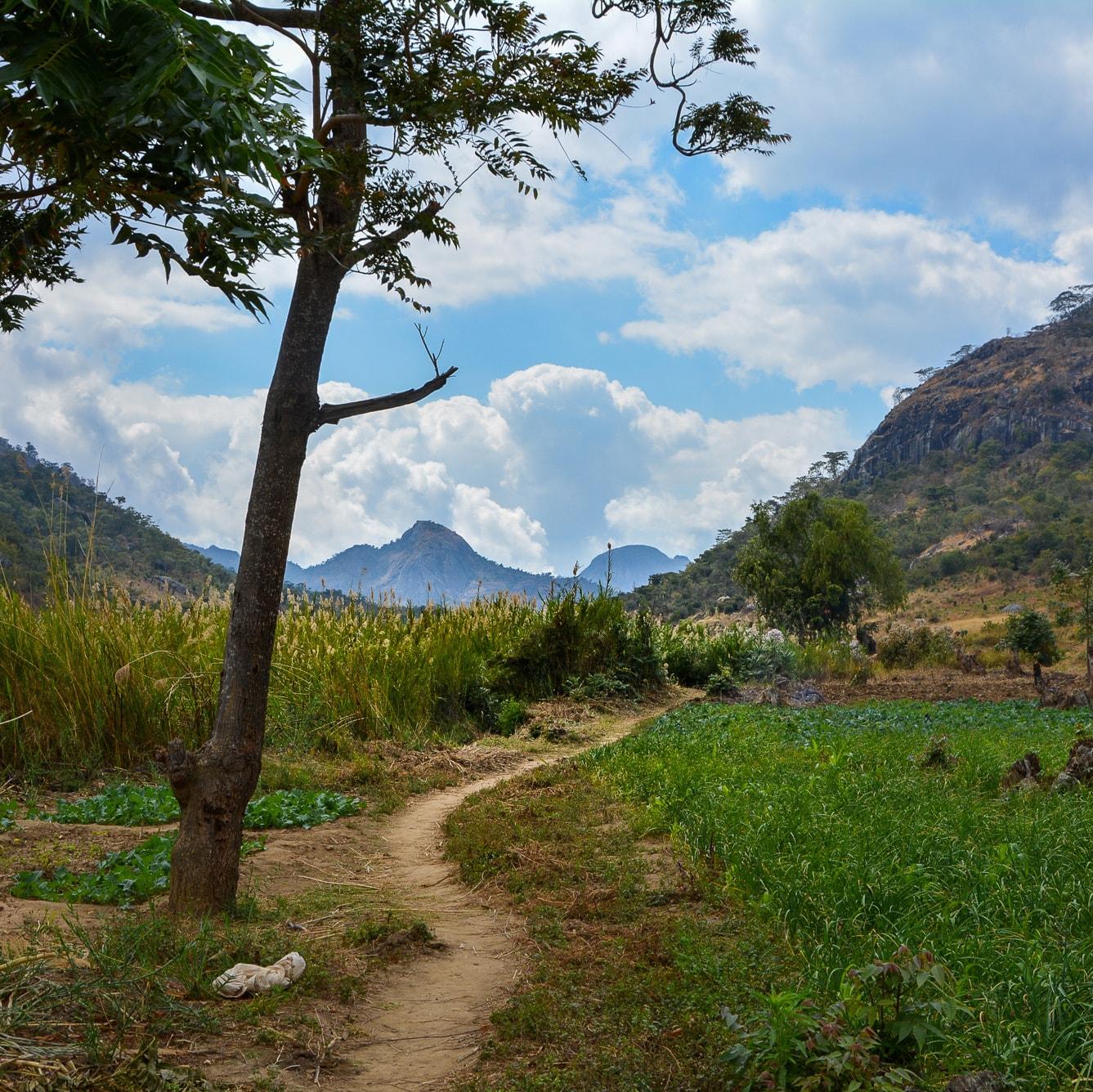 Scenery in Malawi