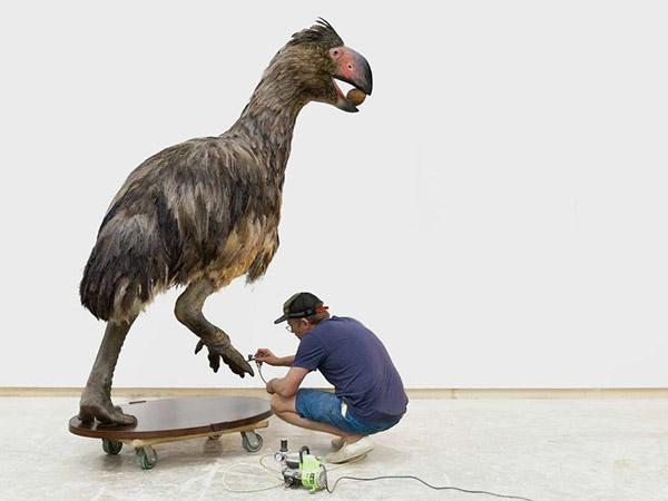 Gastornis; Human for scale