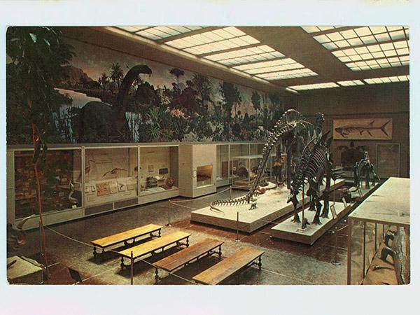 Pre-renovation photo of Brontosaurus in the Great Hall