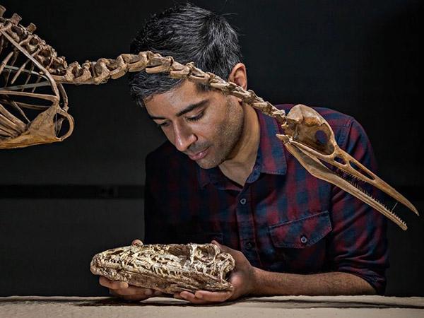 Bhart-Anjan Bhullar with Fossils