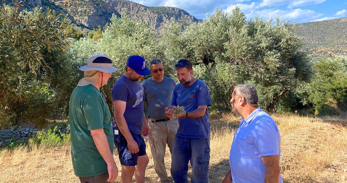 greek landscape with researchers