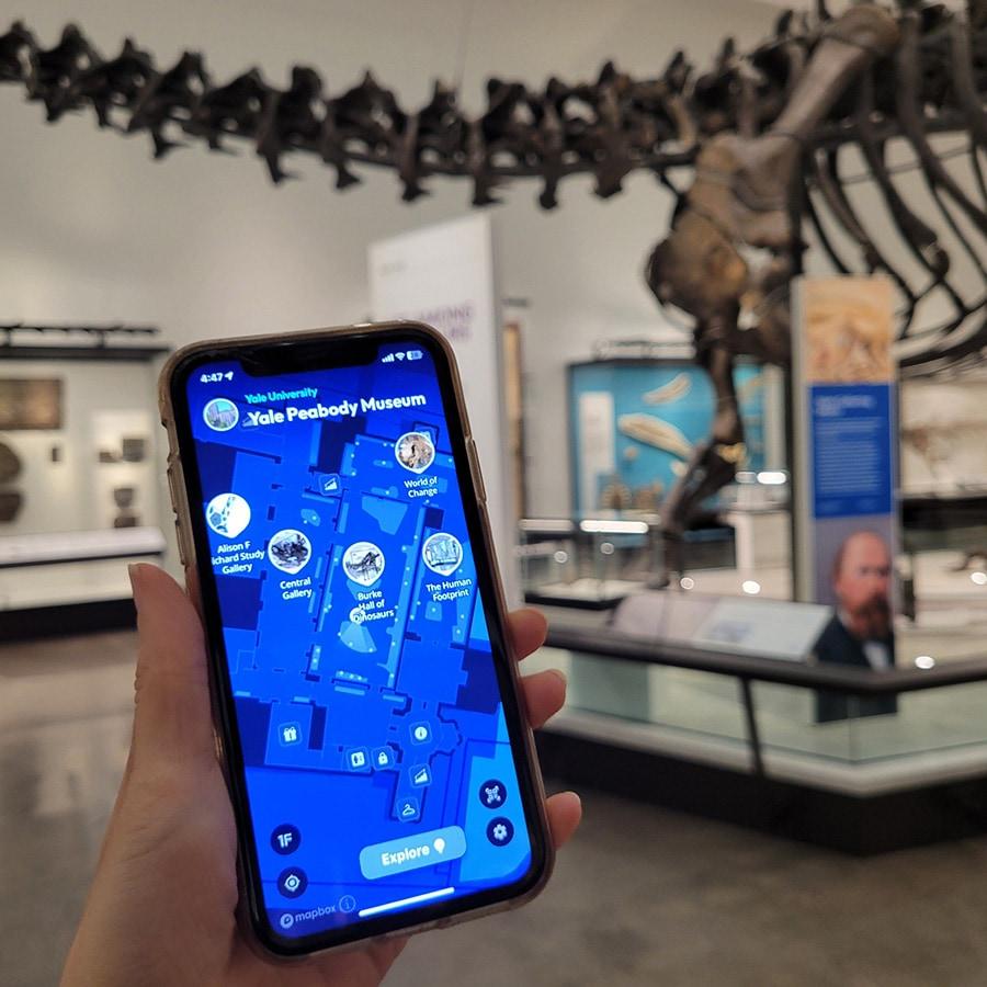 A visitor using the Amuse app in the Yale Peabody Museum