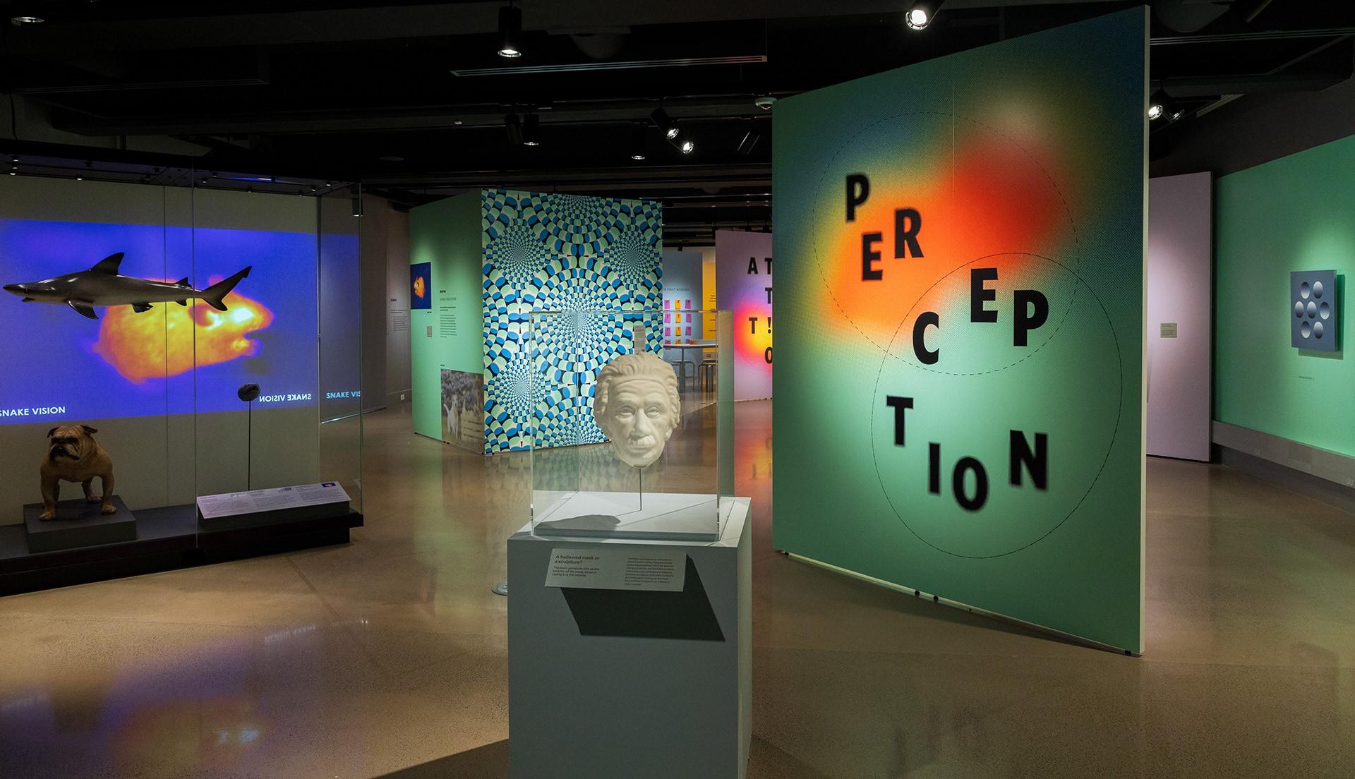 Mind/Matter, a new exhibition about the wonders of cognition