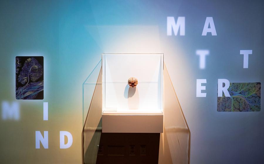 Mind/Matter exhibit
