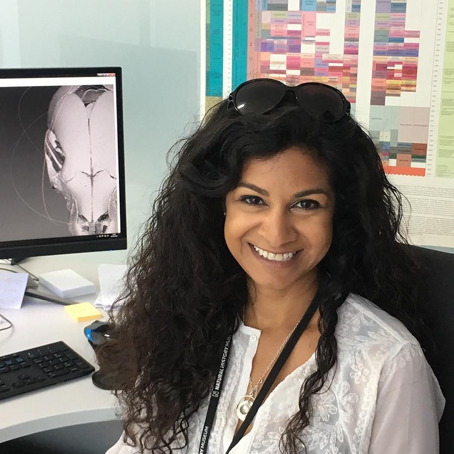 Anjali Goswami