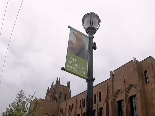 NBC Connecticut (nbcconnecticut.com)